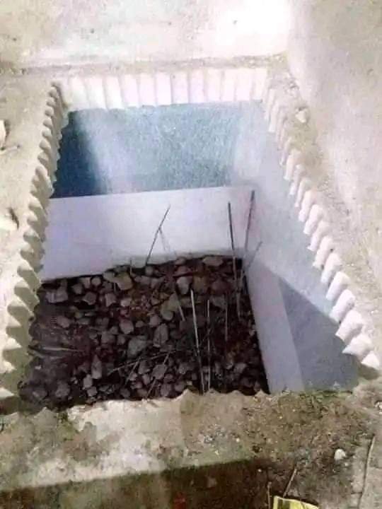whatsapp image 2025 08 06 at 12.46.45 pm (3)